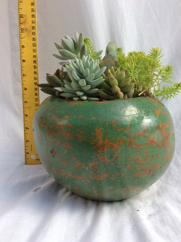 Earth toned pottery-planted